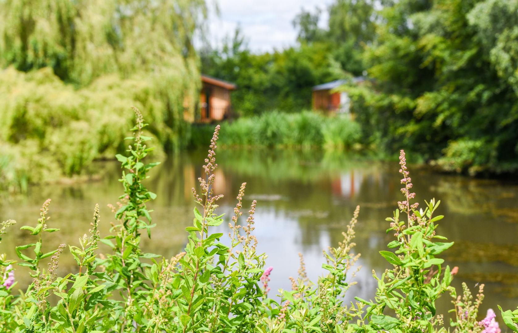 View of lake at Vale of York