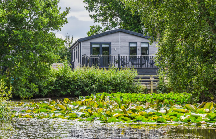 Vale of York Lillies on the lake